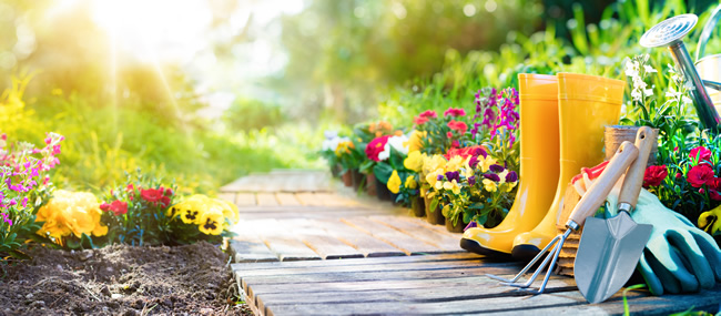 The Best Ways To Get Your Garden Ready For Spring